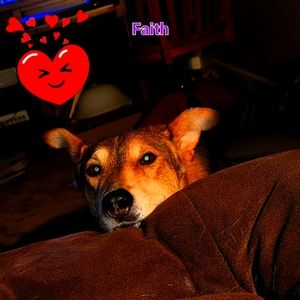 Meet your Posher, Faith